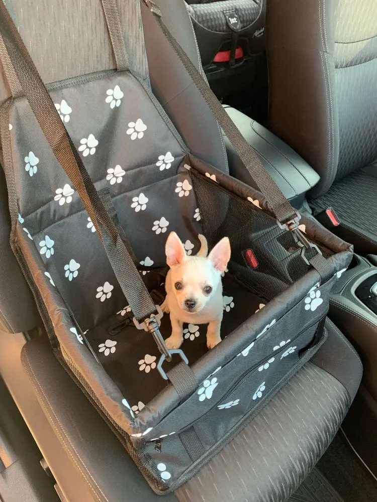 Customer photo