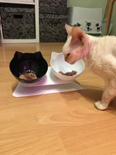 Double Cat Bowl For Cats Water Bowl Transparent Non-Slip Cat Food Bowl For Dogs Bowls
