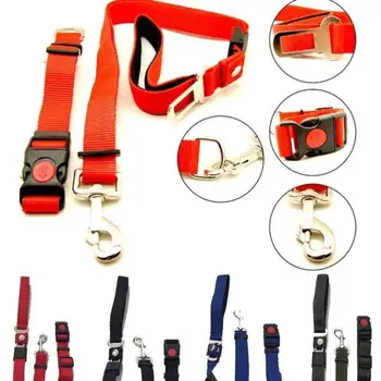 

Adjustable nylon dog leash and collar for dog with attack hid for car safety belt