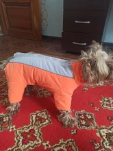 Winter Overalls for Dogs Warm Waterproof Pet Jumpsuit Trousers Male/ Female Dog Reflective