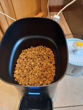 new Pet Feeder Pet Dispenser For Cat And Dog Travel Supply Automatic Smart slow Feeder