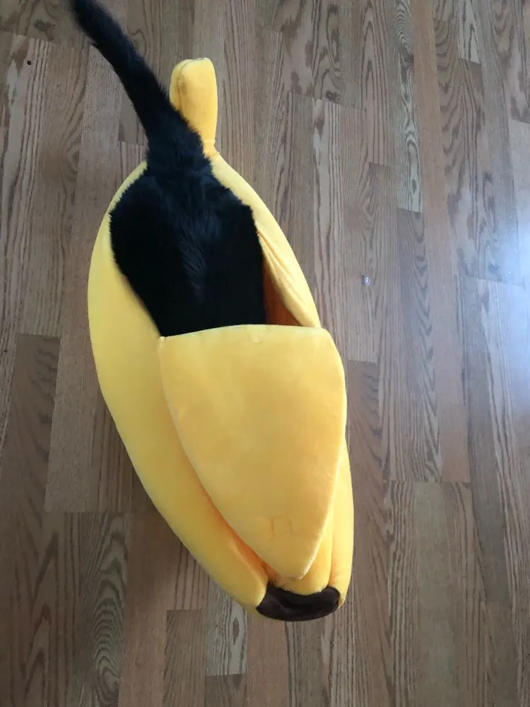 The Banana Dog Bed Cute Dog Beds Cute Puppy Beds