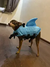 Chaleco salvavidas para perro, chaqueta salvavidas, ropa de baño para perros, traje de baño para mascotas, forma de tiburón