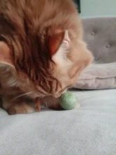 Catnip Toys Ball Cat-Toy Gato Interactive Treats Katten Pawstrip Soft 1pc Speelgoed