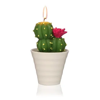 

Candle Paraffin Cactus