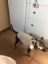 Dog Winter Bulldog-Coat Chihuahu Small French Outfit Puppy Medium Warm 