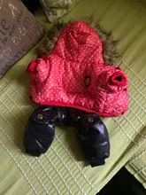 Coat Dogs-Clothing Dot-Pattern Winter Hooded Pet-Dogs New Xl To High-Quality