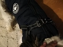 Pet-Dog-Jacket Harness Bulldog-Outfits Labrador Warm French Chihuahua Waterproof Large