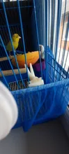 1 Uds Tenedor de fruta pájaro loro y ave mascota de alimentos de plástico de alimentación en jaula para hámster rata 2 tamaño S/L conveniente alimentador