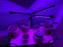 Phyto-Lamp Grow-Light Flower Seedlings Goodland USB Full-Spectrum For Plants LED 