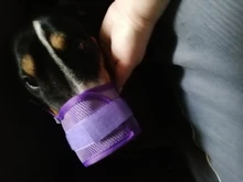 De policarbonato para perros ajustable máscara ladrar morder de la boca de malla boca aseo Anti deja de masticar