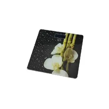 

Weighing scale ElettronicaDCG20.66