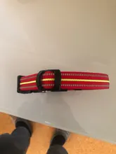 Glowing Collar Reflective Night-Safety Rechargeable Luminous Adjustable Nylon Waterproof