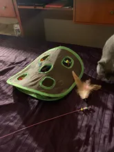 Pet-Cat-Toy Cat Catcher Bird-Feather Plastic For Cats Bell Plush with Newly-Design 100cm-Length