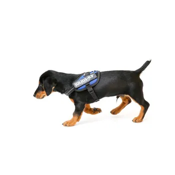 

Julius Harness IDC Mini Mini Navy Blue