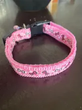 Light-Collar Bell Breakaway Kitten-Accessories Neck Chat Cute with Pet-Dog Anti-Etranglement