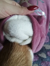 Coat Jumpsuit Clothing Puppy-Fleece Hoodie Apparel Pet-Dog Winter New Warm Velvet