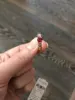 Изображение товара 2