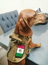 Dog-Harness Loop Dog-Molle-Vest Working Tactical with 2-Metal Buckle Hook Clip Handle