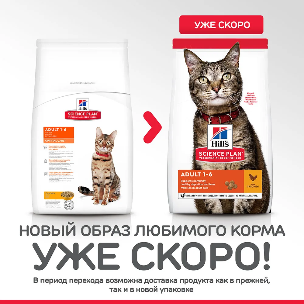 Hill's Science Plan Optimal Care сухой корм для кошек с курицей 2 кг