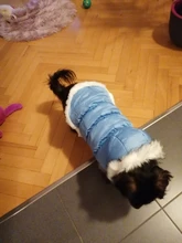 Dog Cat Winter Warm Coat Jacket Dress Pet Puppy Hoodie Winter Warm Clothes Apperal