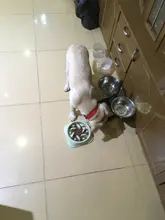 Dog-Bowl Pet Slow-Eating Hard-Plastic Cat Nonslip Anti-Gulping