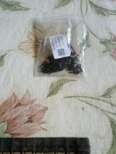 Tornillos de cebo de acero para pesca de carpa, aparejos de terminales de pesca, 50 Uds.