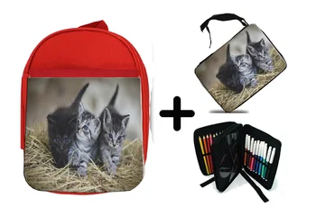

PACK BACKPACK NETWORK AND CASE KITTENS SO CUTE school