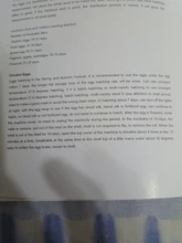 Incubadora de huevos de 220V, incubadora de codornices para aves de corral, herramientas de incubación automática