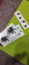 Temporary Tattoo Stickers Scorpion Tatouage Tatuajes Spider Body-Art Halloween Rocooart