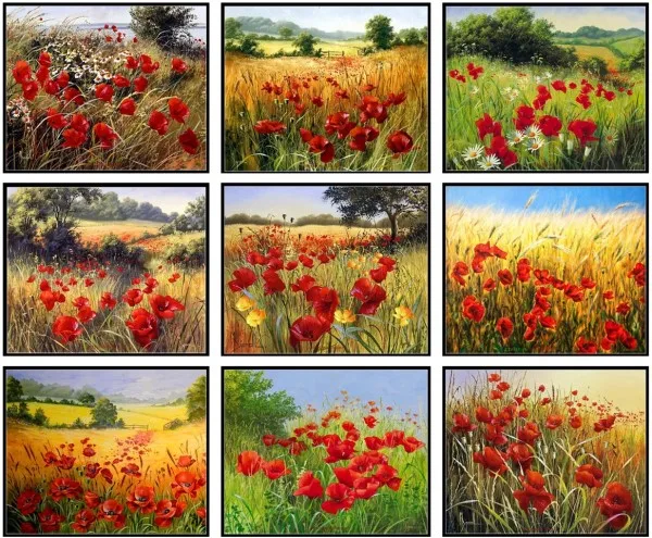 101Poppies Field_1