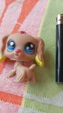 24 unids/set Mini Pequeño Animal de juguete de dibujos animados lindo muñecas figuras de acción gato perro caballo de la tienda de mascotas de escritorio decoración regalo para los niños