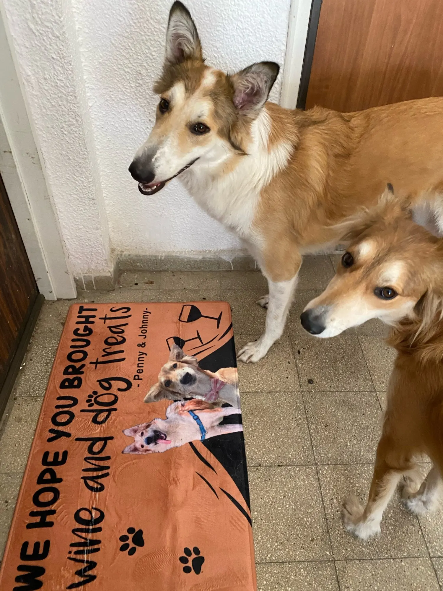 Custom Pet Involved Doormat With Your Pet's Photo photo review