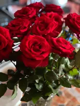 Afeitadora eléctrica para hombres, máquina de afeitar con cuchilla doble, inalámbrica de vaivén, impermeable y recargable por USB, cortadora apta para peluquero