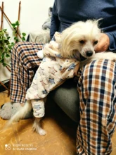 Pet Clothing Costume Outfit Pajamas Fleece Winter Apparel Small Warm 30 Four-Legs Jumpsuit