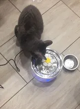 Drinking-Bowl Auto-Feeder Automatic Pet-Products-Supplies Water-Dispenser Water-Fountain