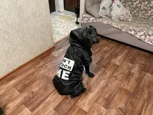 Jacket Rain-Coat Labrador Alaska Puppy-Doberman Waterproof Dogs Large Medium Husky TLC02