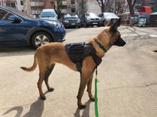 Vest Dog-Harness German-Shepherd Dogs Pet-Military-Training Molle Tactical Medium 