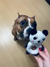 Juguete para masticar para entrenamiento de perros, juguete de felpa interactivo para perros, juguetes masticables para mascotas para perros pequeños y grandes