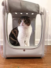 Pet Carrier For Dogs Cat Breathable Dog Backpack Cat Carrier Carrying Bag Portable Dog