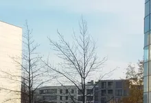 Maifeng-Telescopio monocular compacto, lente con clip retráctil con zoom de 8-40x40, impermeable, prisma Bak4 profesional, HD ED, vidrio con trípode para teléfono