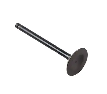 

Valve exhaust Suzuki df25a/30a 1291594l60000