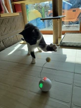Toy Cat-Toy Ball-Rolling Productos Interactive Electric Colorful Automatic Para Led Ear