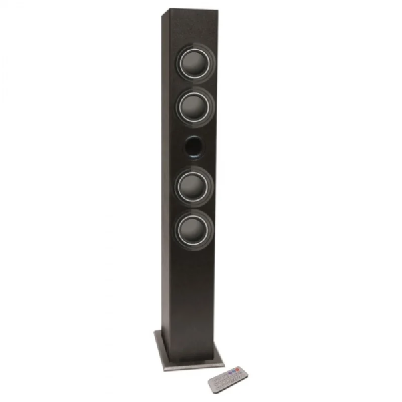 Колонка iWown TWB-i2 USB Radio 20W Black | Электроника