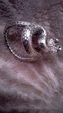 Anillo de serpiente Chapado en plata y Rattlesnake para hombre y mujer, Joyería Moderna de estilo Hip Hop, Punk, para fiesta y motocicleta