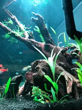 Light Aquarium-Lamp LED Chihiros Sunrise Sunset Built-In-Bluetooth-Controller Plus-Series