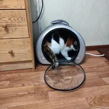 Bolsa de transporte portátil para perros y gatos, cápsula espacial transpirable, bolsa de viaje para astronauta, mochila transparente para mascotas pequeñas para exteriores