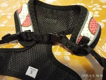 Arnés de nailon para perros y gatos, chaleco con estampado para cachorros de tamaño pequeño y medio, Bulldog Francés y Chihuahua