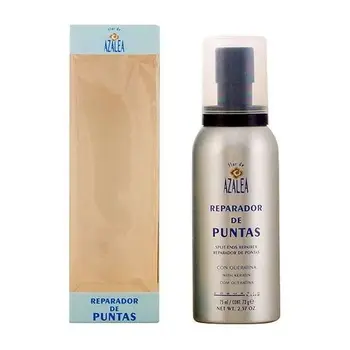 

Splint End Regenerator Azalea