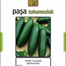 Хияр тохуму-Бет Альфа 25 гр